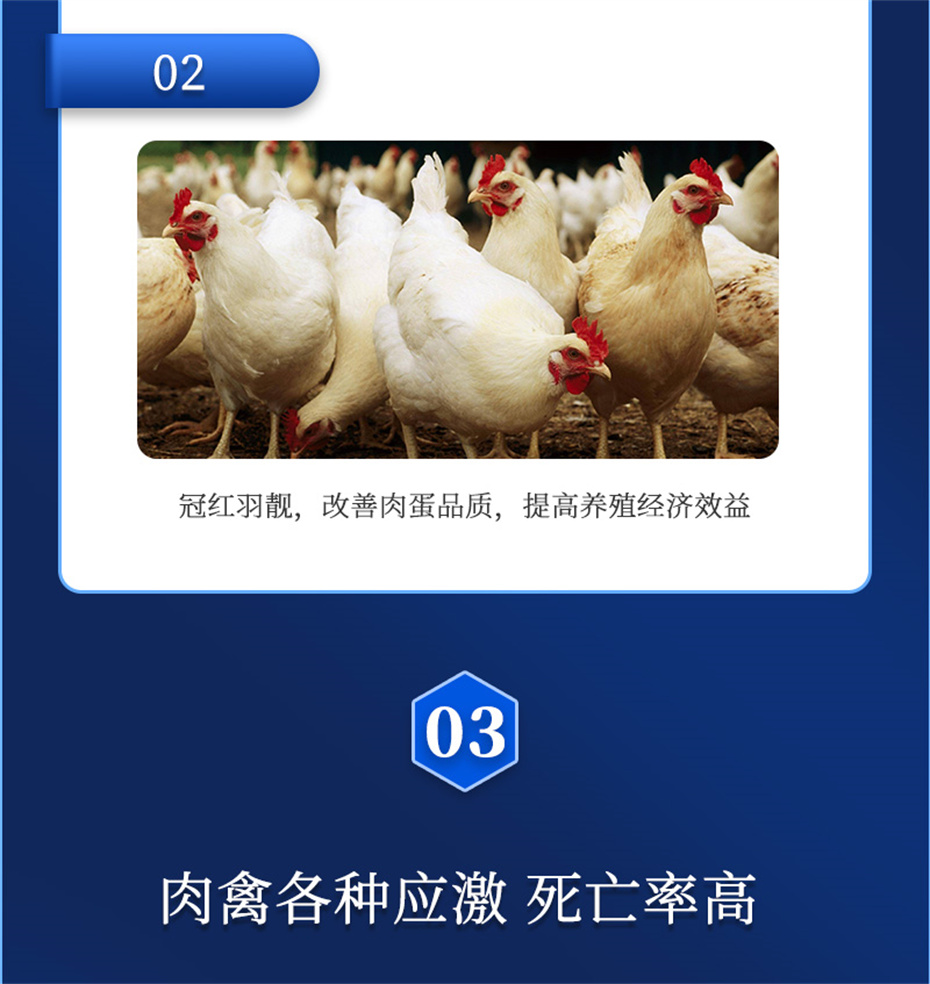 乐天堂fun88动保禽饲料添加剂禽肽重产品介绍